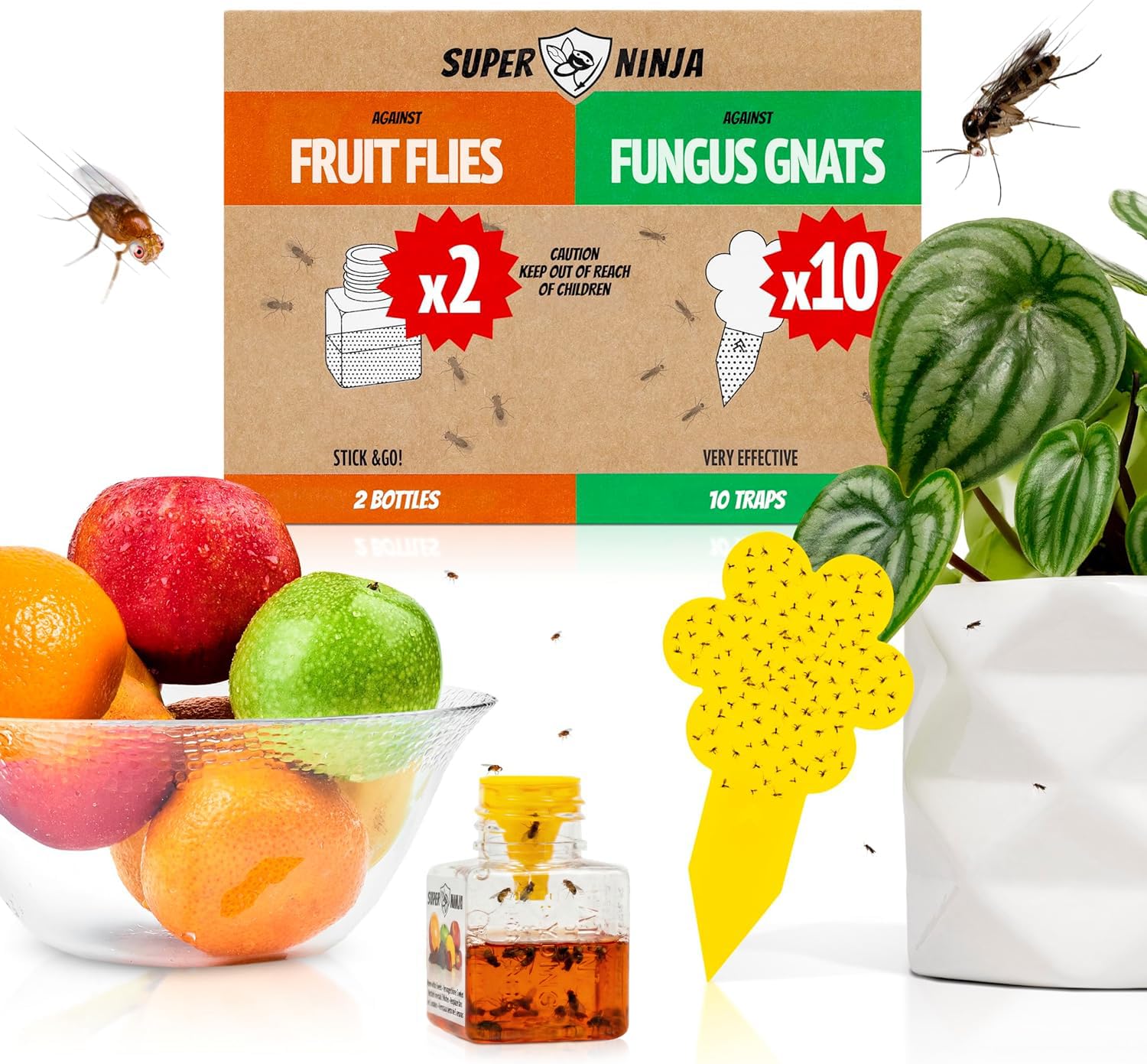 Super Ninja Fruit Fly Trap & Fungus Gnat Killer Combo, 2+10 Traps
